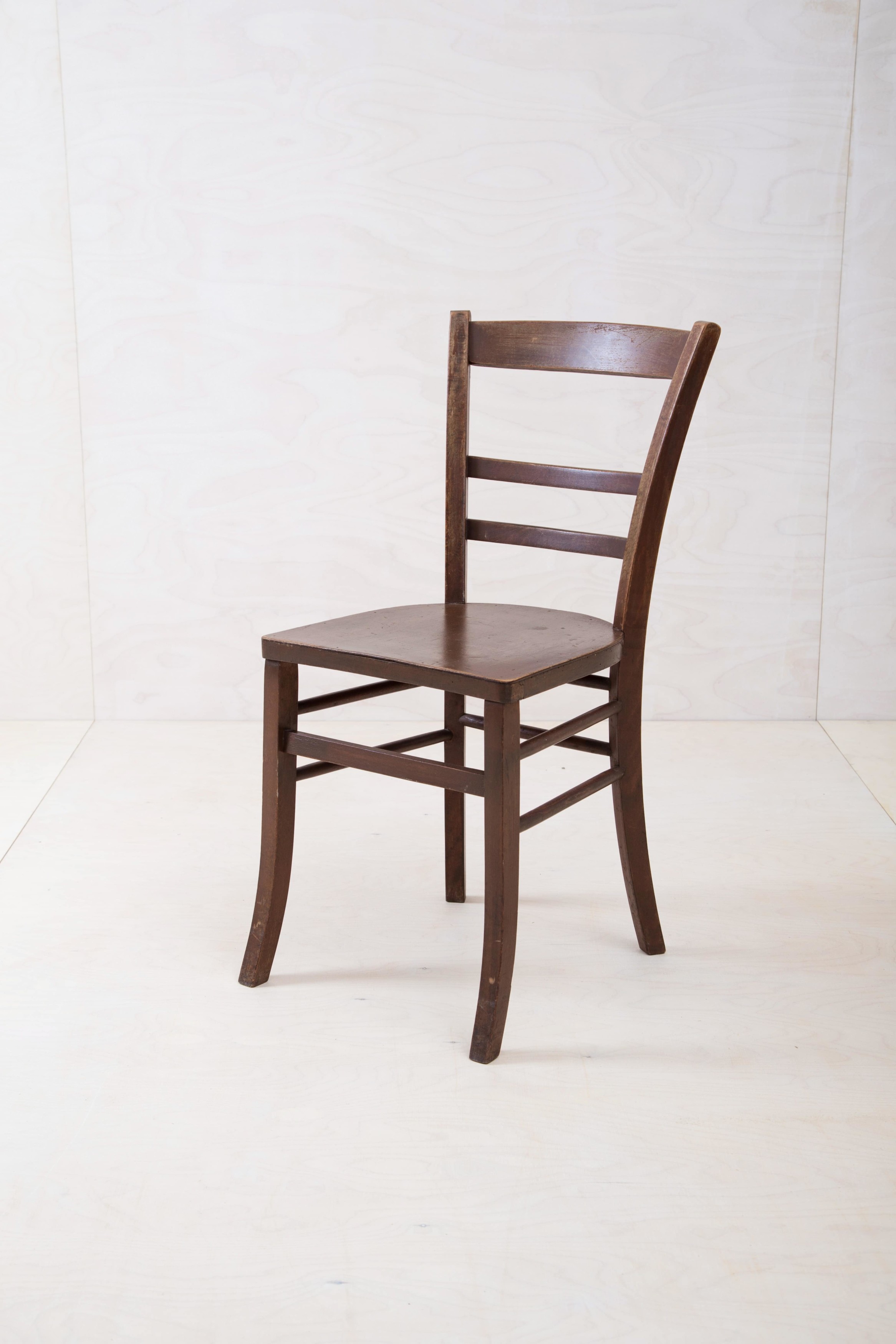 wooden dining chair cesar